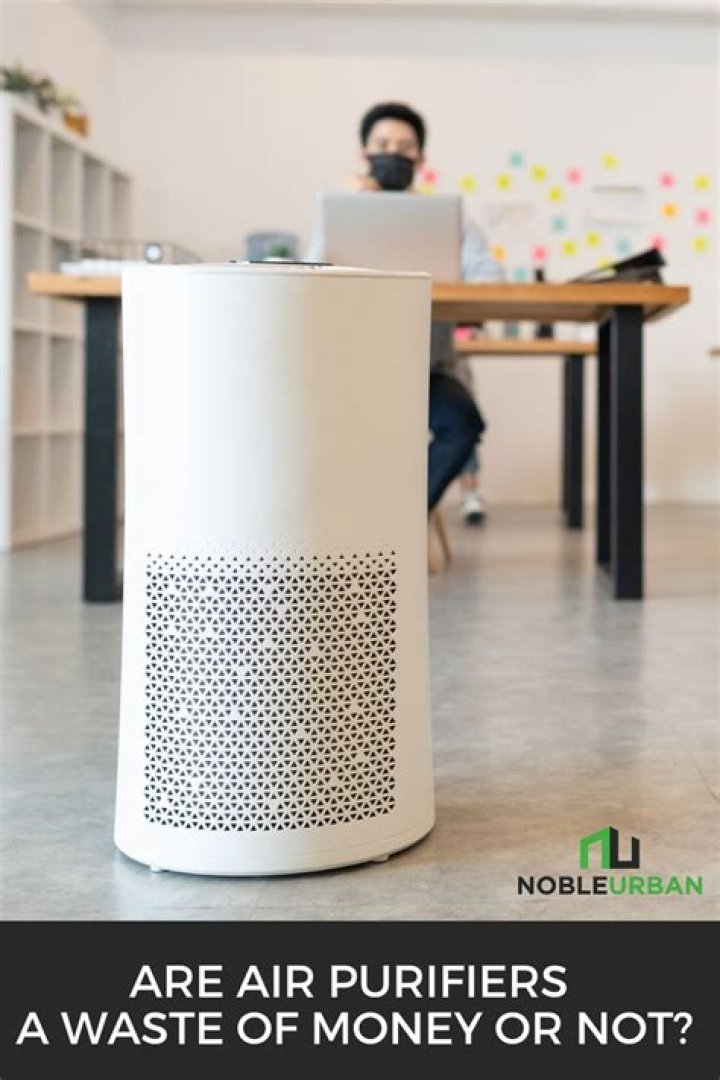 Are air purifiers a waste of money?