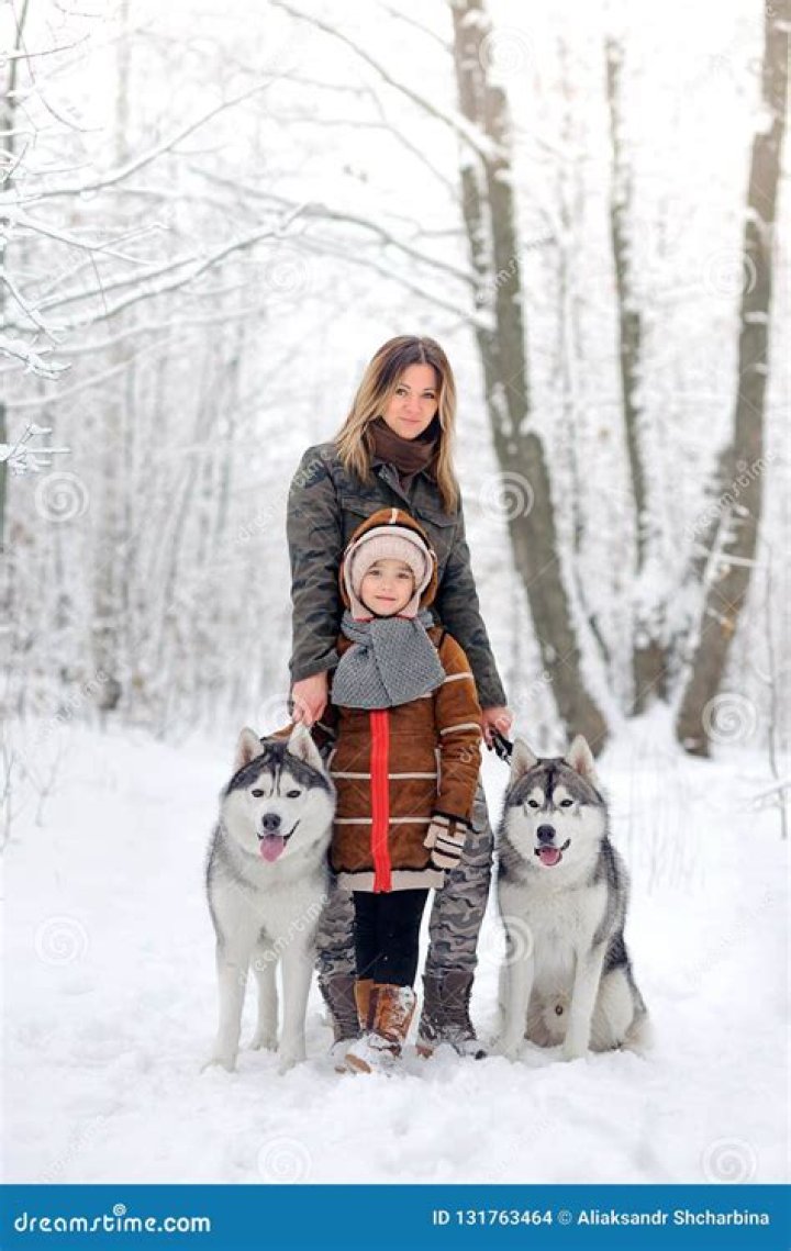Are husky good family dogs?