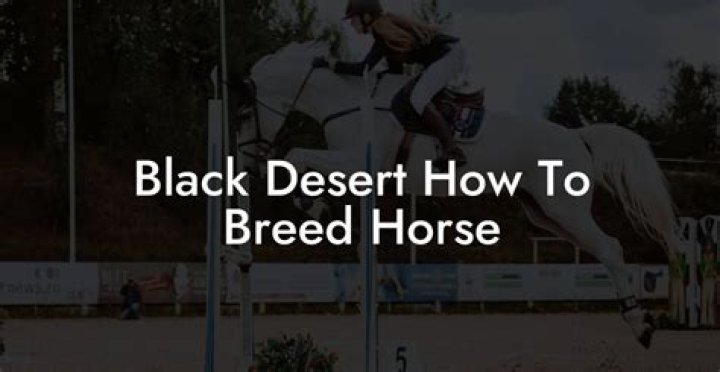 Black desert how to breed horse