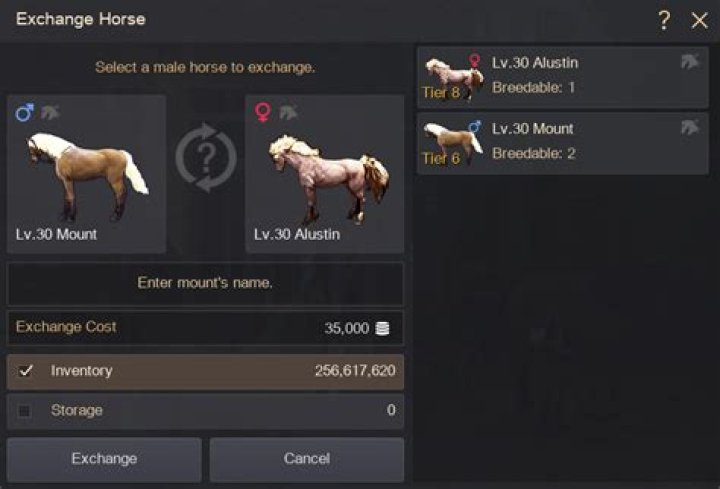 Black desert how to buy a horse