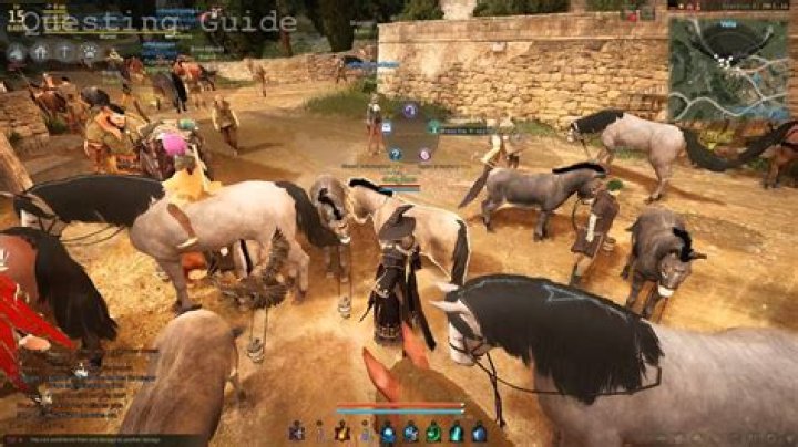 Black desert how to feed pet
