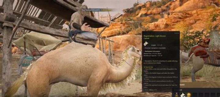 Black desert how to get a camel