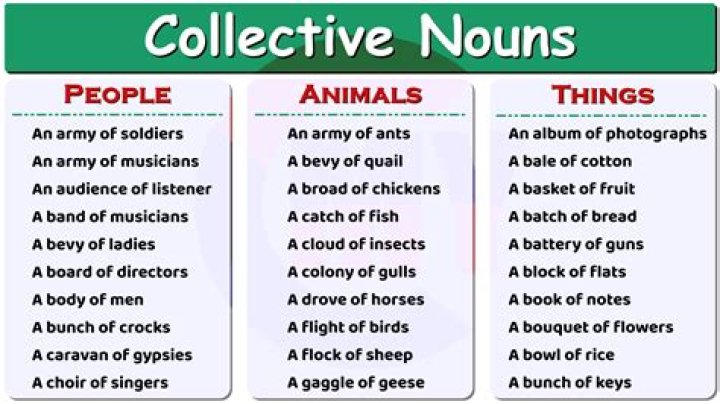 Can celebrity be a noun?