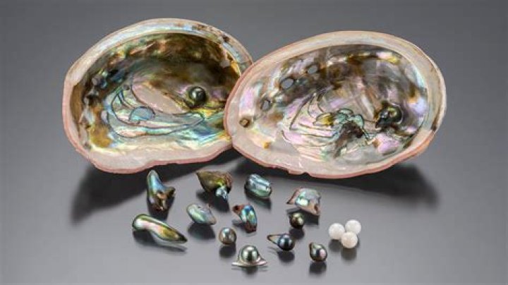 Do abalone make pearls?