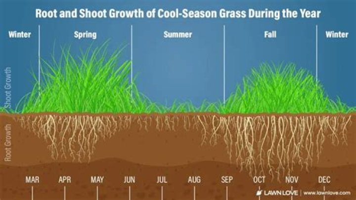 Do you cut grass in the winter?