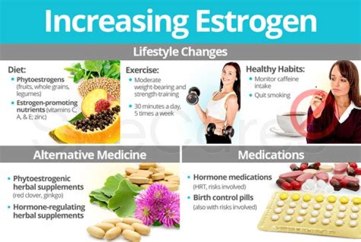 Does fennel raise estrogen levels?