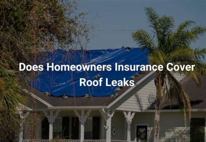 Does Hoa cover roof leaks?