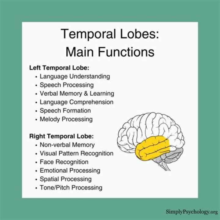 Does the temporal lobe control emotions?