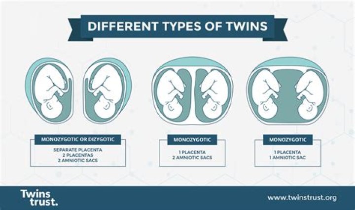 How are identical and nonidentical twins formed?