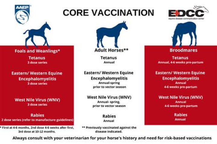 How do horses get herpes virus?