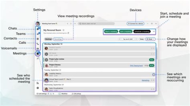 How do I get a grid in Webex?