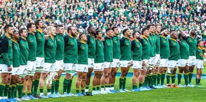 How do springboks defend themselves?