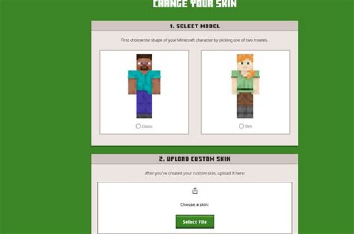 How do you change your skin on minecraft java edition