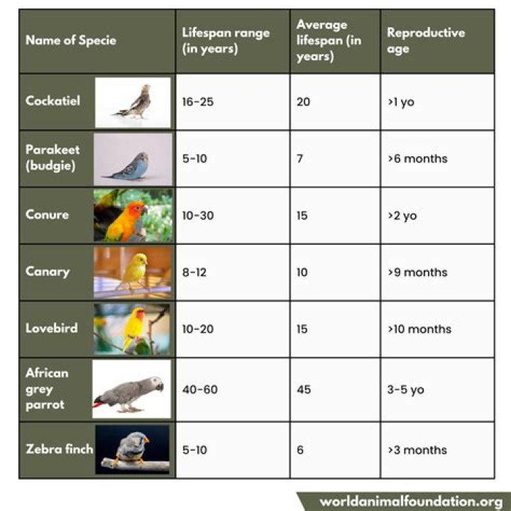 How is a bird different from a fish?
