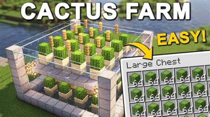 How long does it take for cactus to grow in minecraft