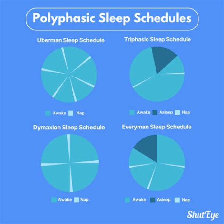 How long does it take to adjust to polyphasic sleep?