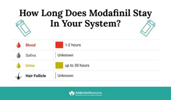 How long does Provigil stay in your system?