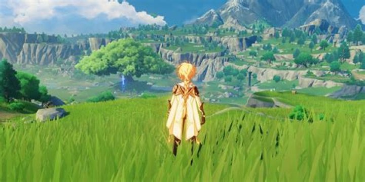 How old is the traveler in genshin impact