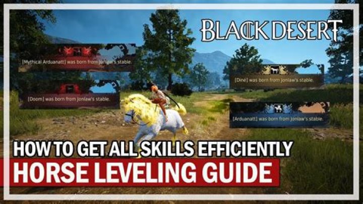 How to level strength black desert
