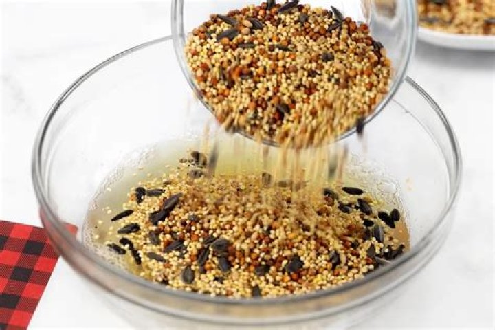 How to make homemade bird seed?