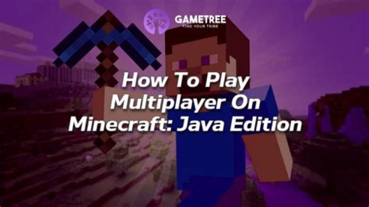 How to play multiplayer on minecraft java edition 1.16.5