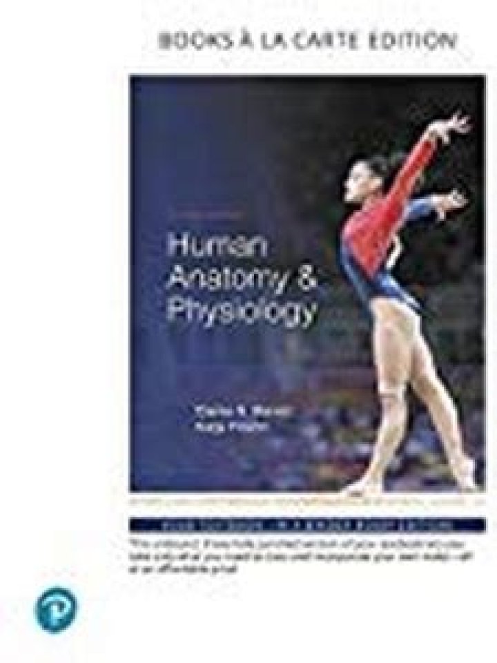 In the human body sucrase is found?