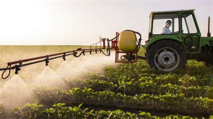 Is artizen pesticide free?