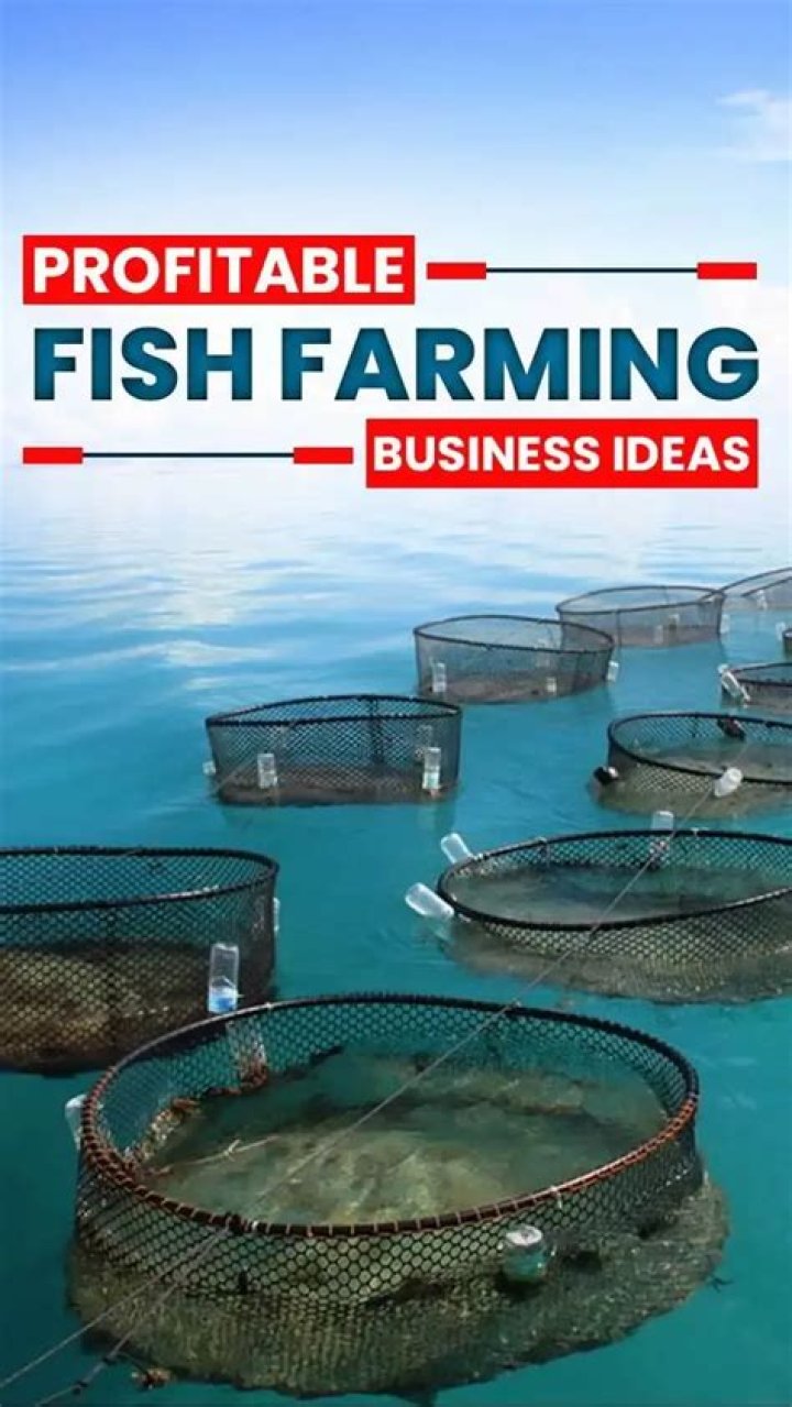 Is stock fish business profitable?