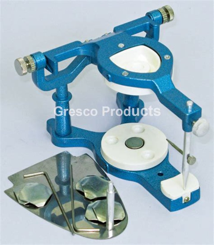 Is the velum an active articulator?