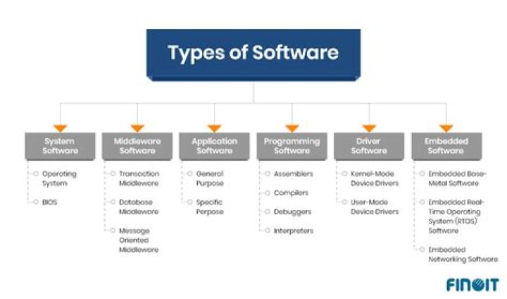 What are the two major software types?