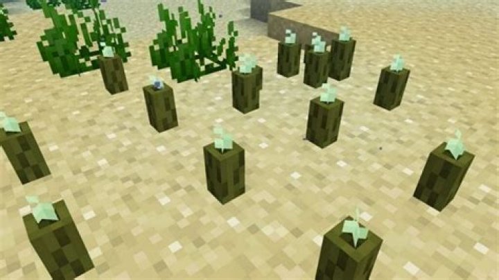 What can you do with sea pickles in minecraft