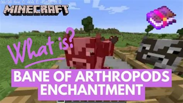 What does bane of arthropods do in minecraft pe