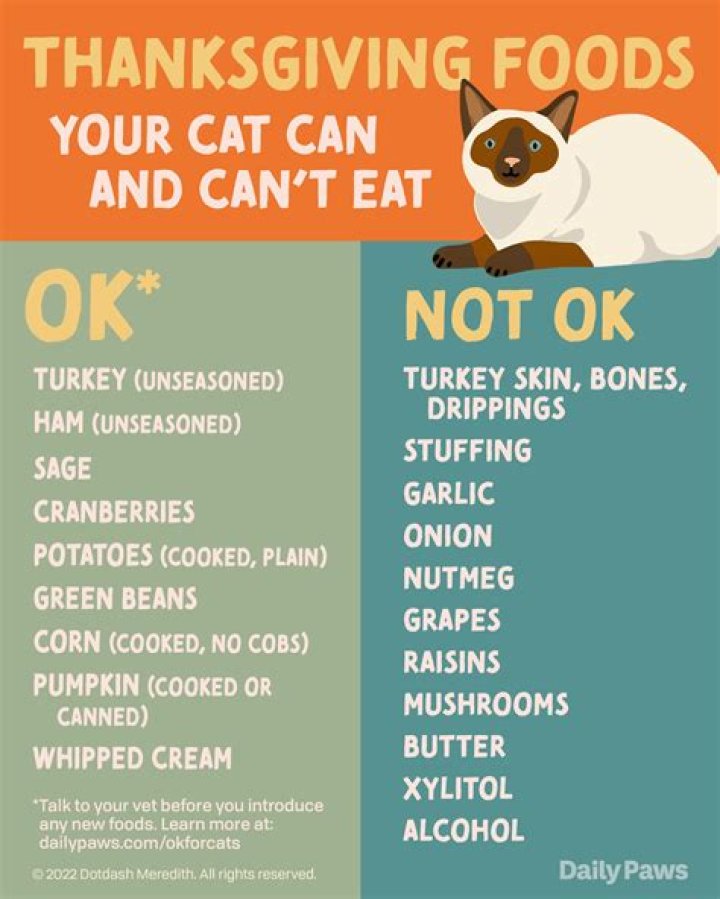 What food do yaks eat?