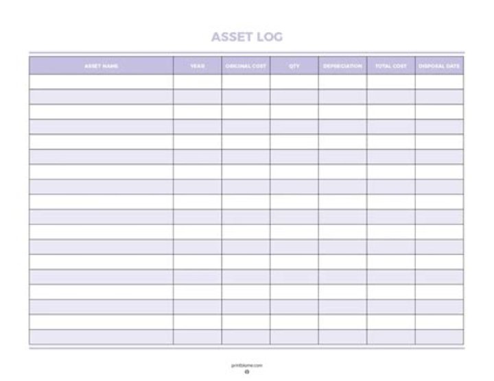 What is an asset log?