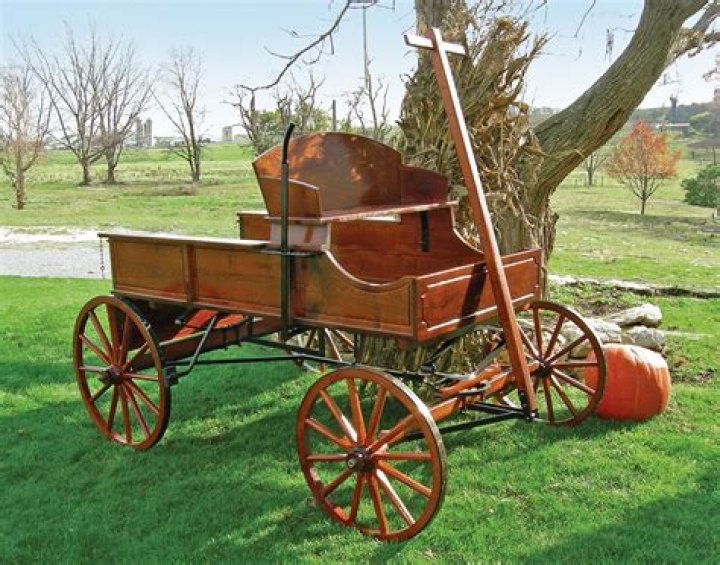What is buckboard definition?