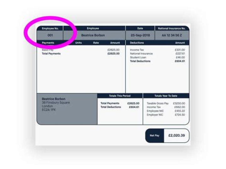 What is ESR in payroll?