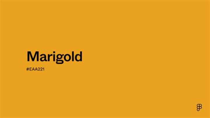What is Marigold named after?