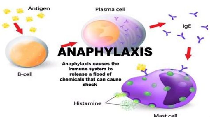 What is most potent anaphylatoxin?