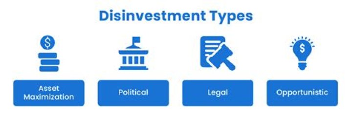 What is the disinvestment target for 2020 21?