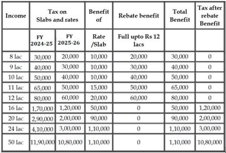 What is the rebate in income tax?