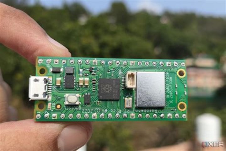 What is the use of raspberry?
