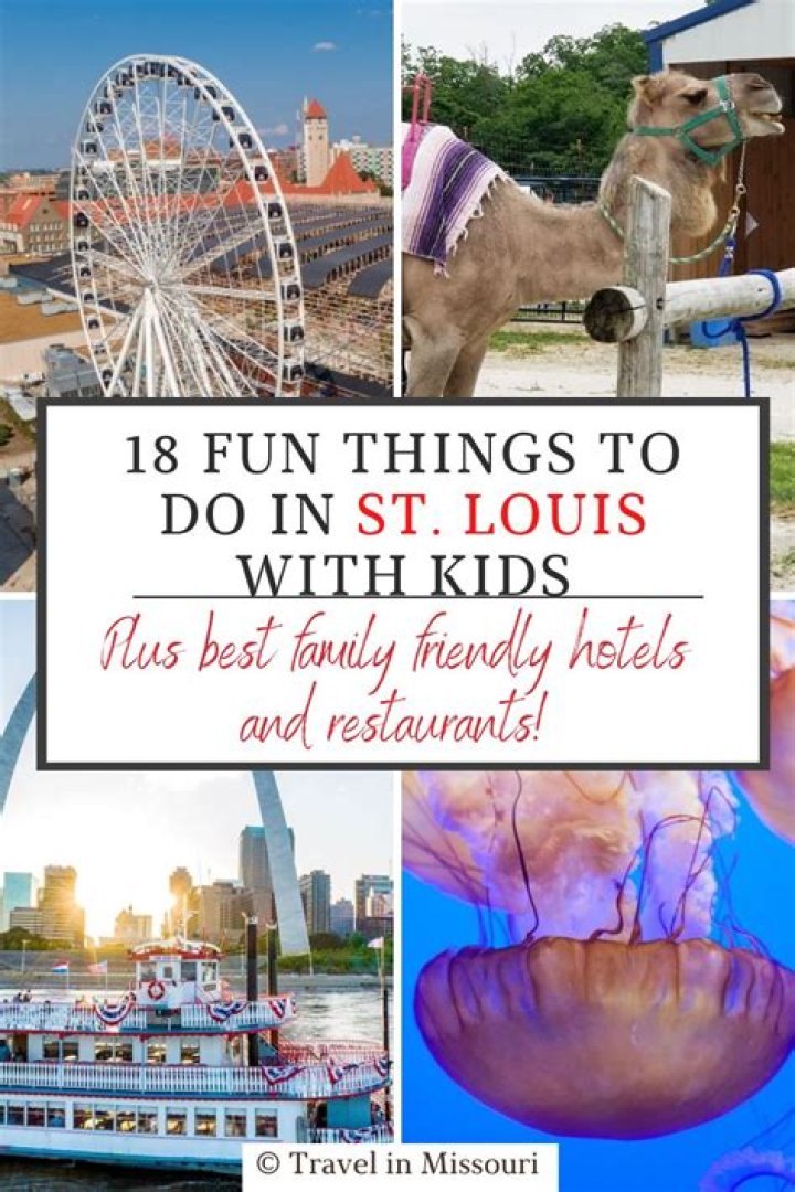 What is there to do in St Louis this weekend?