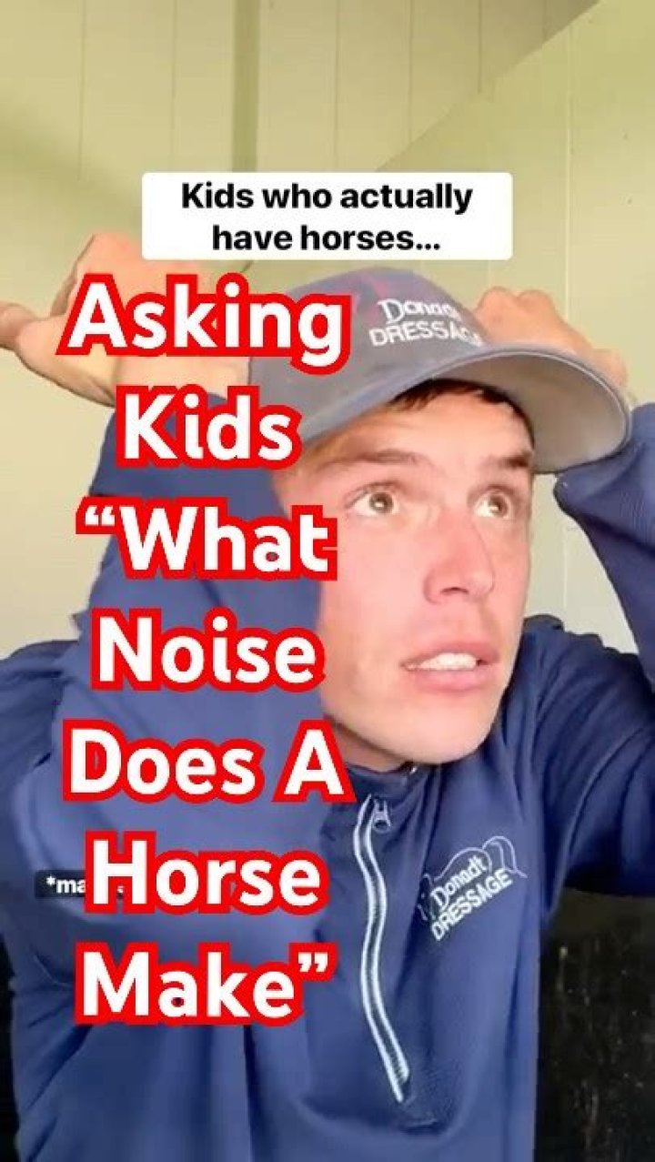 What noise does a horse make?