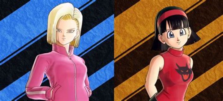 What race is Videl?