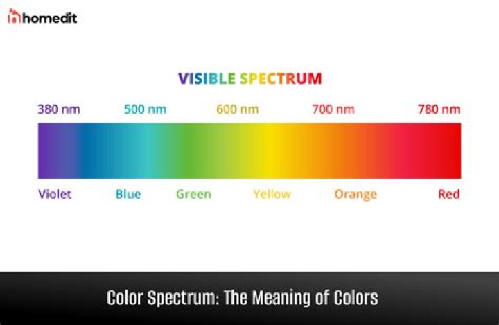 What Spectre means?