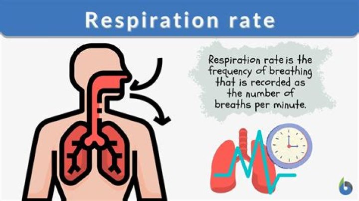 Whats a normal respiration rate?