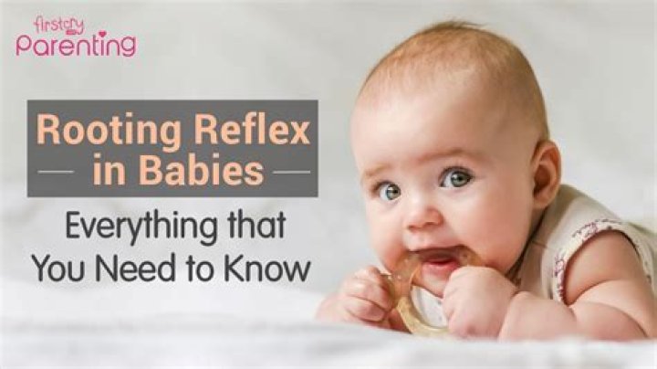 Whats rooting in babies?