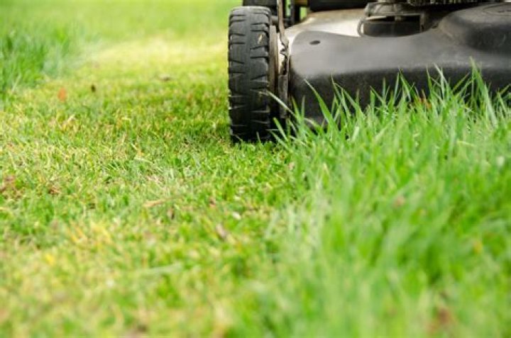 Whats the right way to cut grass?