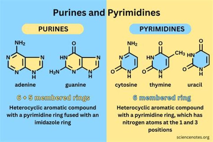 When is pyridine used?