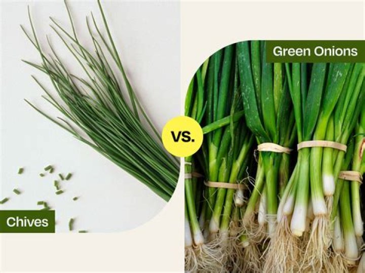When was green onions recorded?